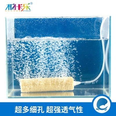魚缸過濾系統(tǒng)的構(gòu)建魚缸生態(tài)系統(tǒng)的構(gòu)建魚缸生態(tài)系統(tǒng)：如何選擇一個健康的魚缸生態(tài)系統(tǒng)