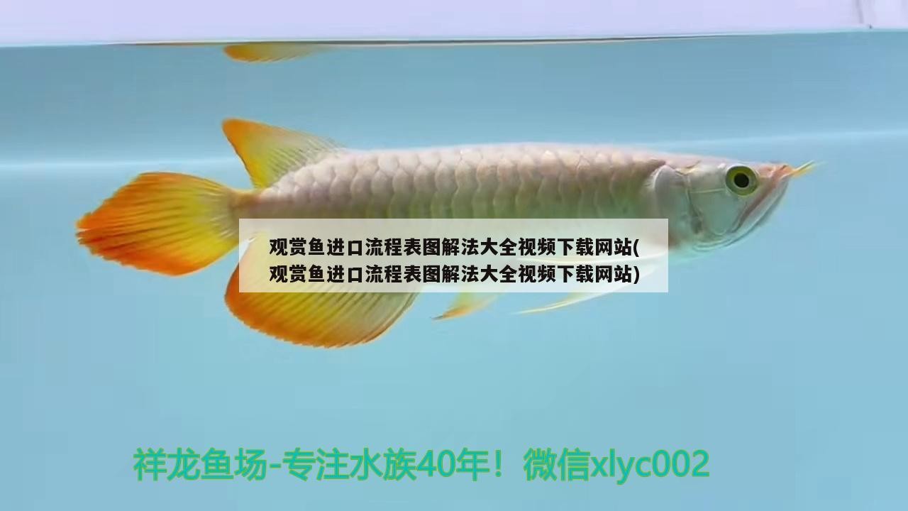 雙流公興卿親水簇經營部（在雙流區(qū)公興水廠電話）