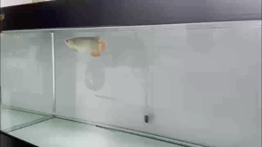 還是小的時候好玩