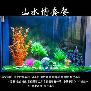 什么樹可以放魚缸里養：魚缸中的大水草對光照和水質的影響和美觀性的影響和美觀