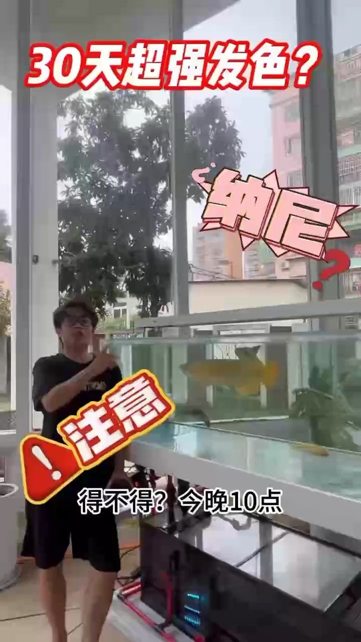 紅龍魚發色如此簡單鱗瀾飼料