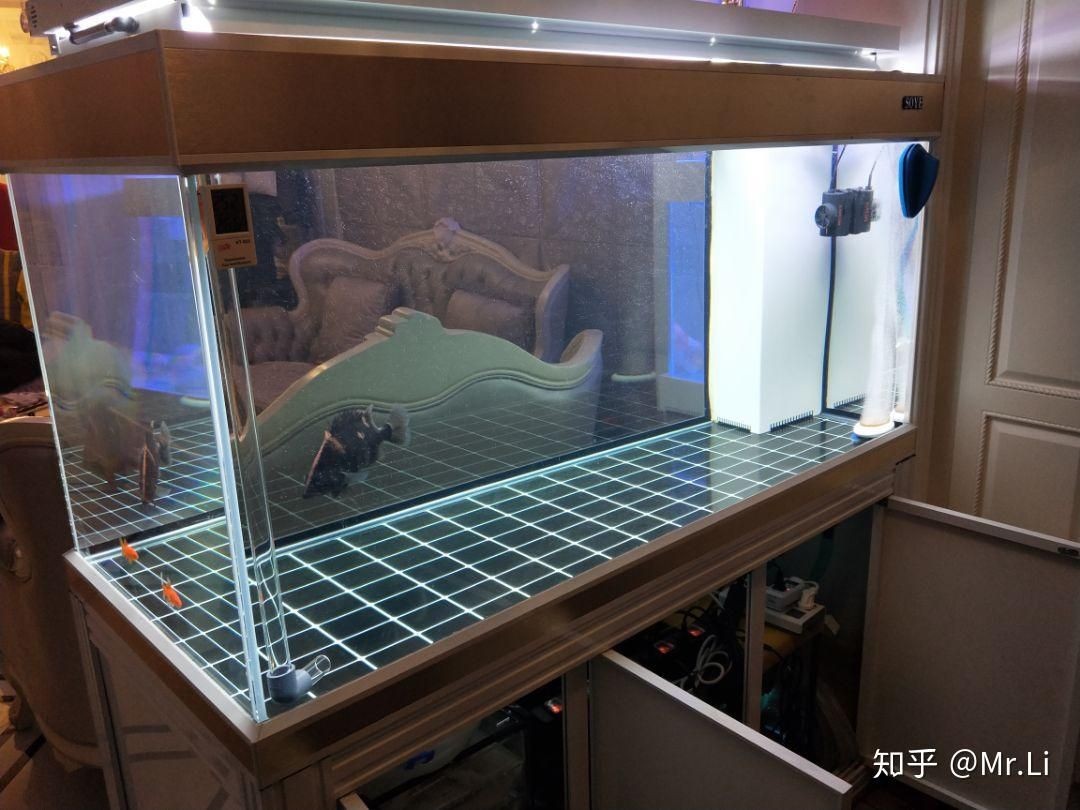 金晶魚缸和森森魚缸哪個好：金晶魚缸與森森魚缸價格對比