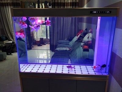 金晶魚缸和森森魚缸哪個好：金晶魚缸與森森魚缸價格對比