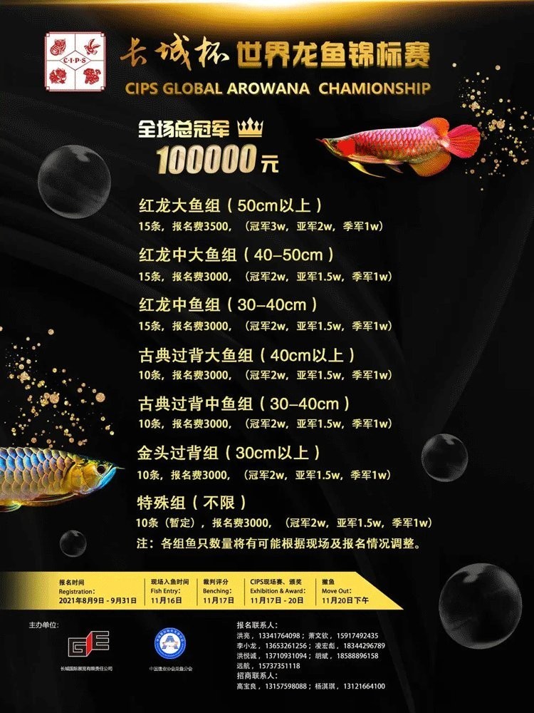 龍魚大賽冠軍獎勵