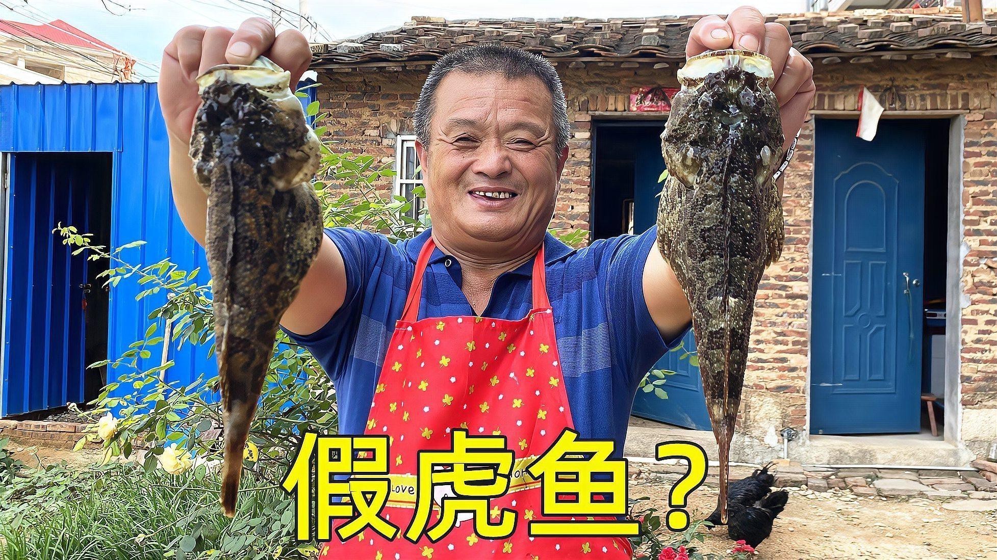 福虎異型虎魚最值得買的三個品種