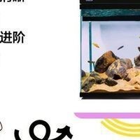 紅老虎混養10大忌