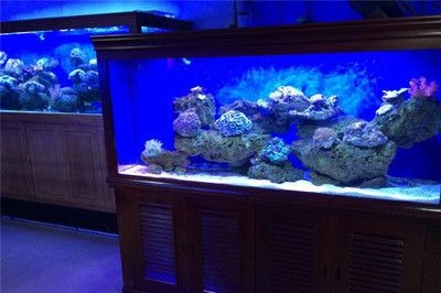 可愛麗魚缸安裝說明視頻（可愛麗魚缸安裝說明）