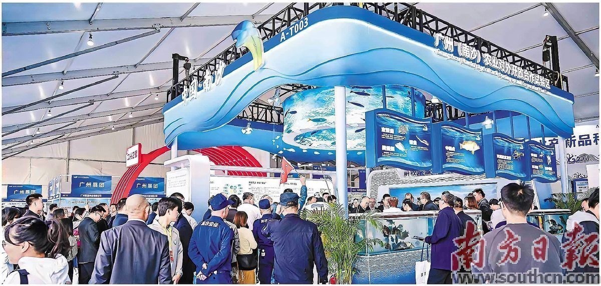 南沙區國際熱帶觀賞魚賽事活動的時間