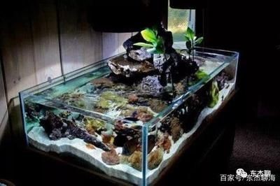 魚缸底濾視頻 視頻：關于魚缸底濾系統的視頻教程網址：bilibili