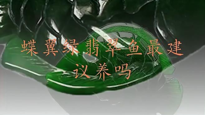 綠翡翠魚好養嗎