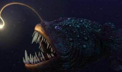 龍魚身體突然變彎了（龍魚身體突然變彎可能由多種因素引起）