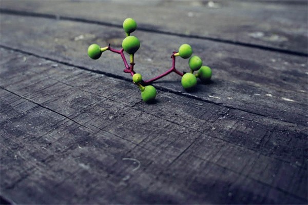 未來<strong><mark>蕉城</mark></strong>龍魚養殖業的發展規劃是什么