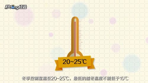 魚缸彩葉草的養(yǎng)殖方法和注意事項：彩葉草的養(yǎng)殖方法和注意事項詳情