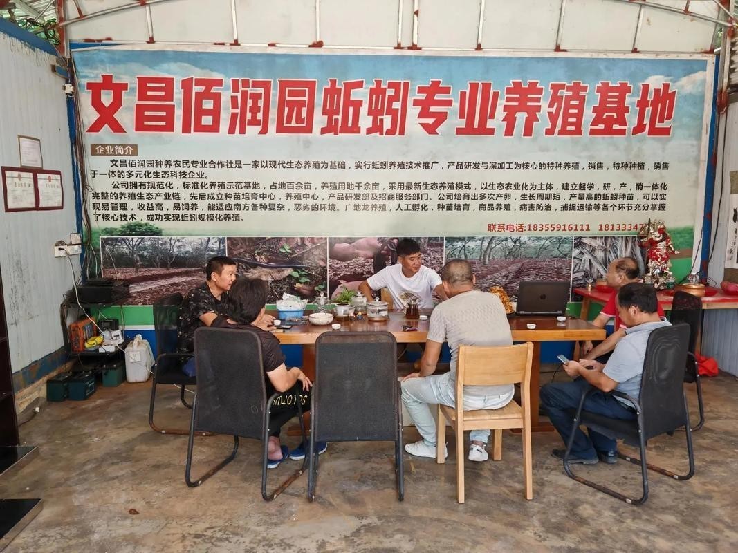 廣州龍魚養殖基地