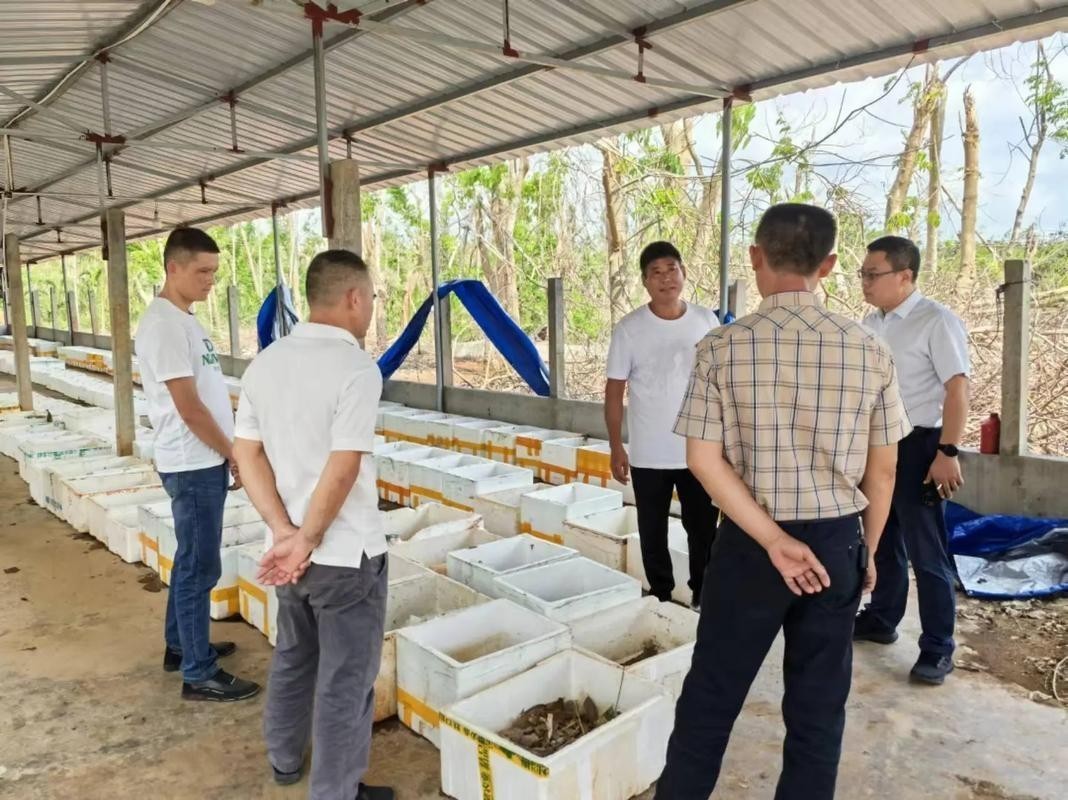 廣州龍魚養殖基地