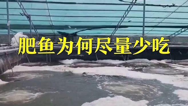 肥魚為何盡量少吃