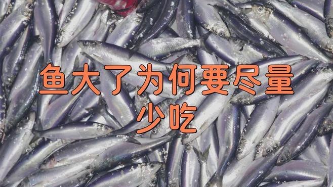 肥魚為何盡量少吃