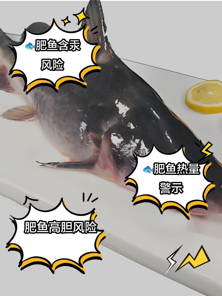 肥魚為何盡量少吃