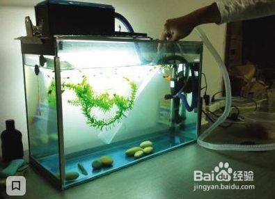 魚缸 老水：如何判斷魚缸老水與魚兒健康的關(guān)系，魚缸老水的酸堿度調(diào)節(jié)方法