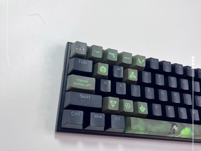 紅龍SPS的價格是多少？