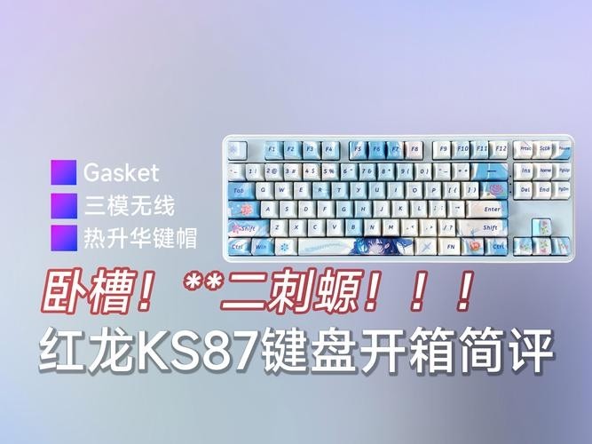 紅龍SPS的價格是多少？