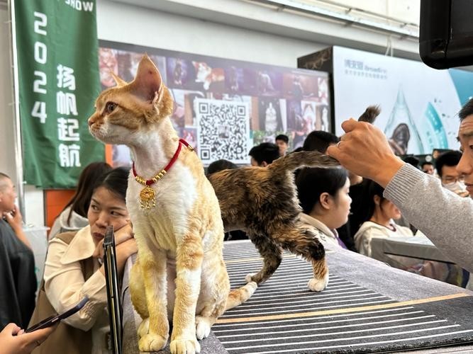 寵物博覽會2021