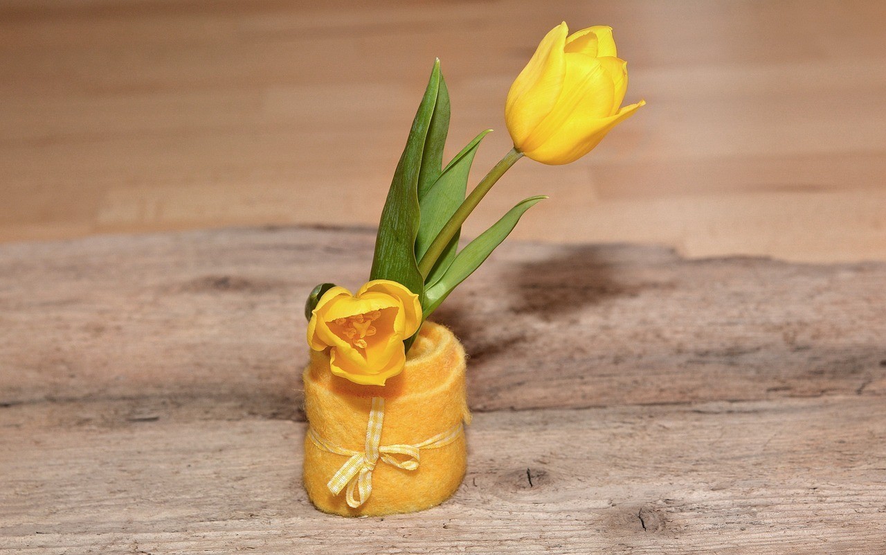 防城大自然水族館（防城大自然水族館電話）