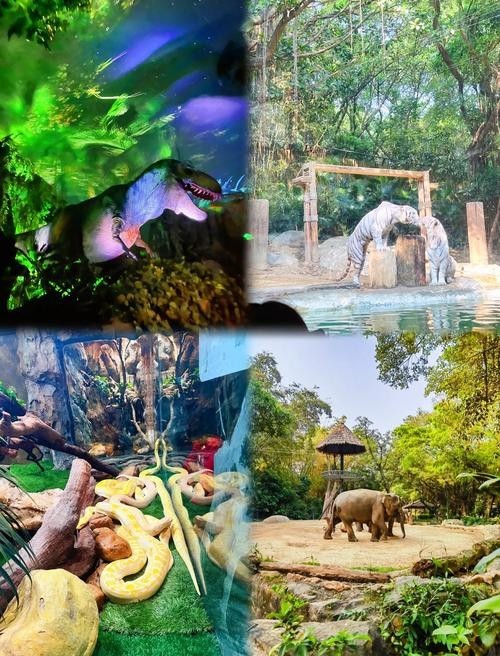 長隆野生動物園門票有效期是多久？