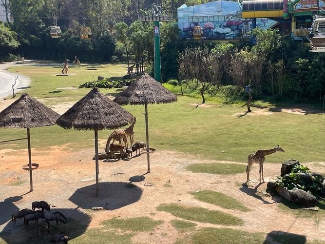 長隆野生動物園門票有效期是多久？