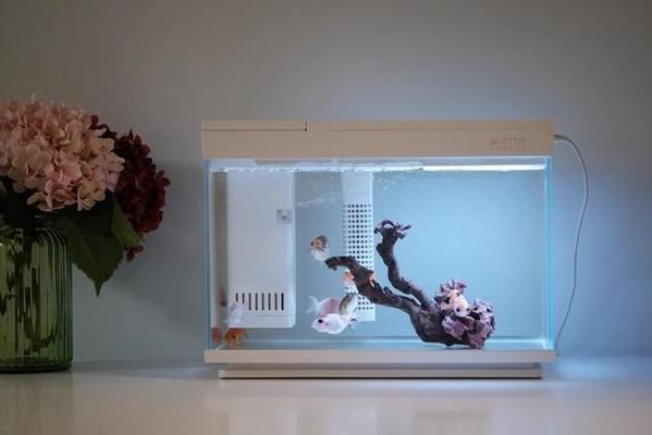 畫法幾何魚缸如何設計：幾何魚缸app智能養魚技術原理：畫法幾何魚缸設計