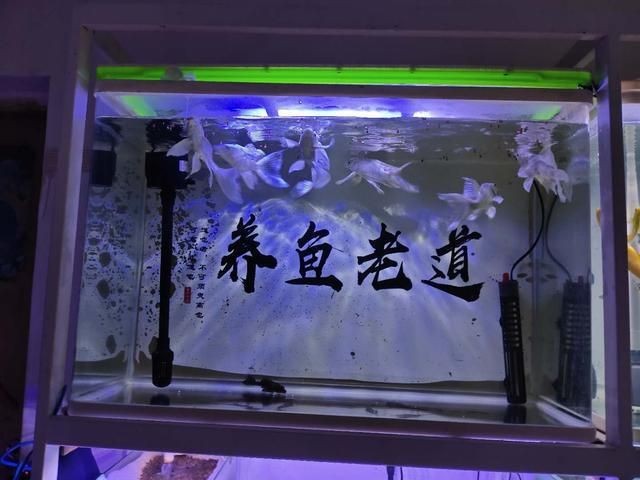 賣二手魚缸