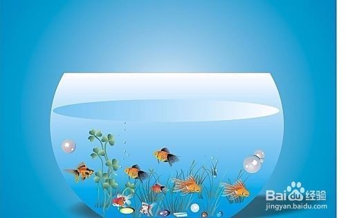 十大品牌魚缸過濾器：揭秘魚缸過濾器十大品牌