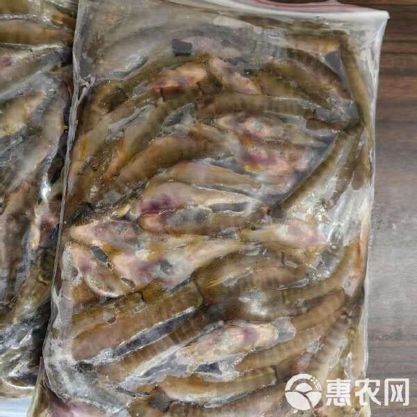 紅尾平克魚(yú)價(jià)格表和圖片 紅尾平克魚(yú)價(jià)格表和圖片 龍魚(yú)論壇 第6張