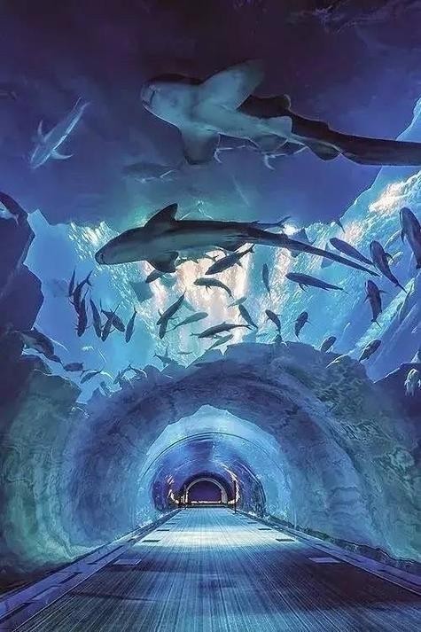 寧波水族展