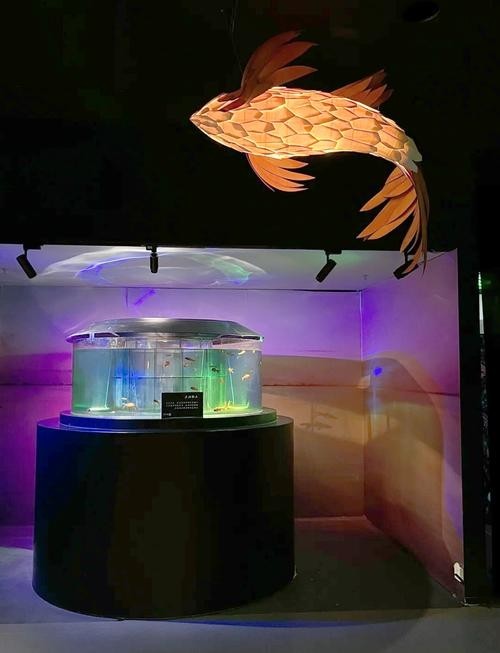 寧波水族展