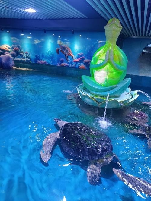 寧波水族展