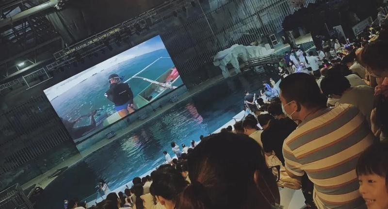 寧波水族展