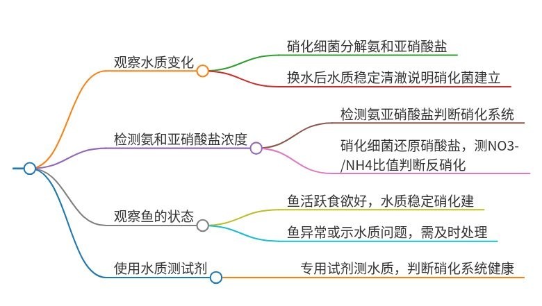 如何判斷硝化細(xì)菌是否有效？