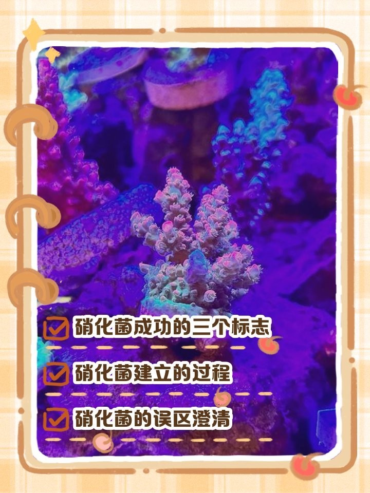 如何判斷硝化細(xì)菌是否有效？