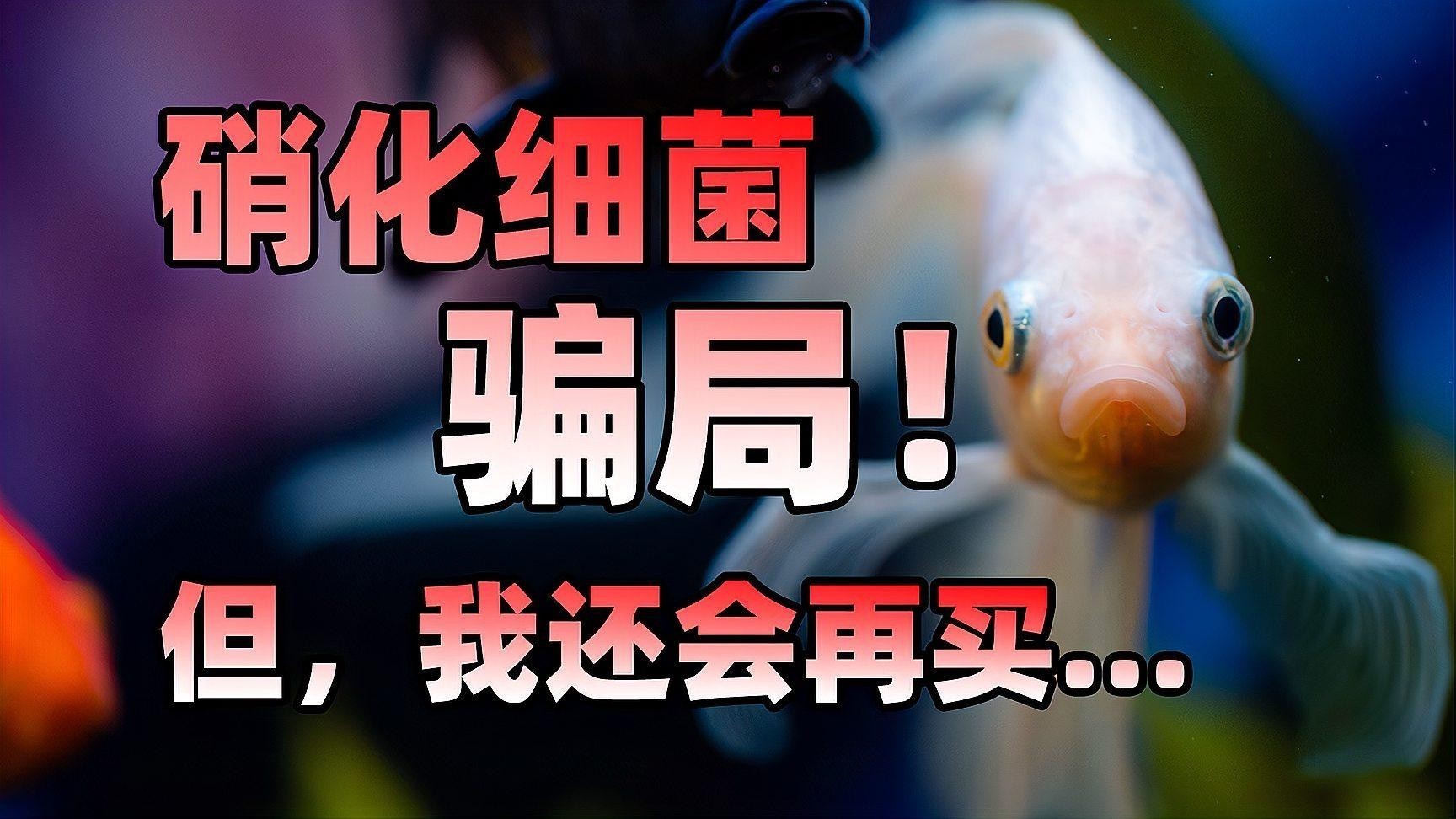 如何判斷硝化細(xì)菌是否有效？