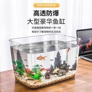 六角恐龍魚魚缸造景多少錢一條：六角恐龍魚缸造景多少錢一條六角恐龍魚魚缸造景價格