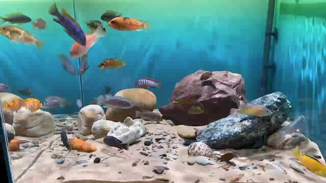三湖我來了