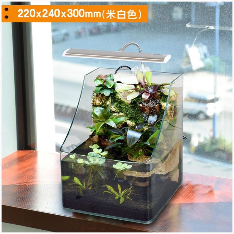 缸底過濾的魚缸如何做造景（如何選擇合適的魚缸底濾系統）