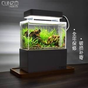 缸底過濾的魚缸如何做造景（如何選擇合適的魚缸底濾系統）