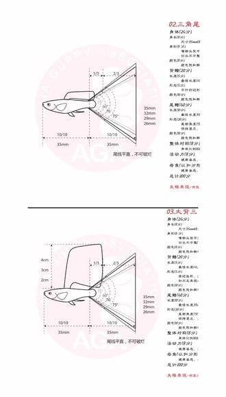 2023年長城杯孔雀魚錦標賽獲獎名單