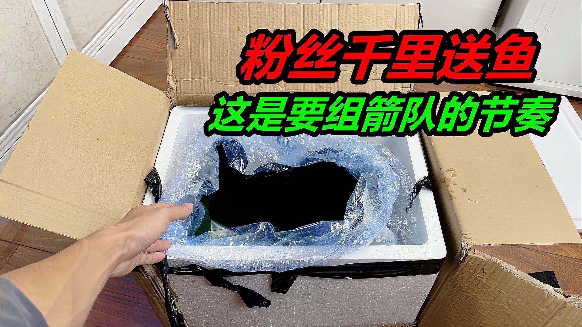 推薦一些專業的水族物流公司