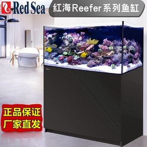紅海魚缸為何如此昂貴，科學家們能夠了解：紅海魚缸為什么如此昂貴