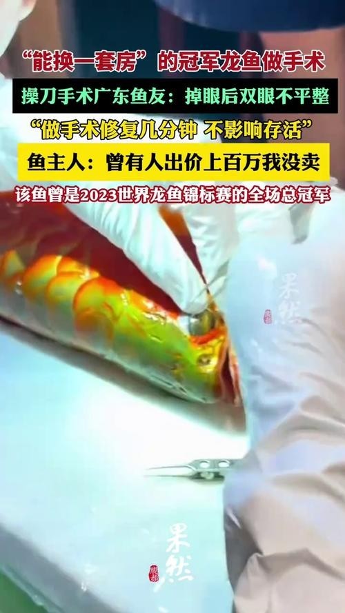 能詳細介紹一下這條冠軍龍魚嗎？
