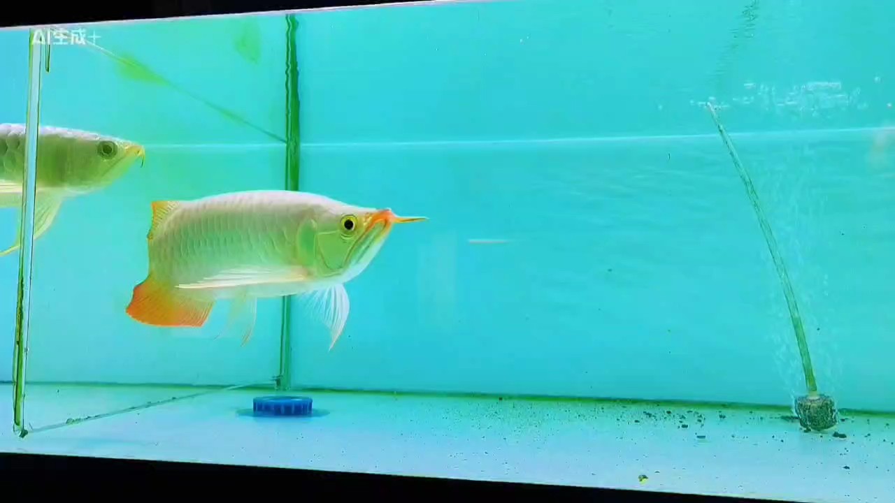 湯勺頭