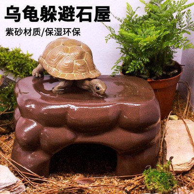 銀龍魚的養殖方法和注意事項視頻教程（銀龍魚的養殖方法和注意事項視頻教程全集）